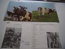 Pink Floyd  -Atom Heart Mother- Audiophile Japan-Vinyl/Cover: mint (-)