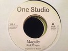 UK DUB,RICK WAYNE,MAGNIFY,ONE STUDIO UK 7 shaka Killa