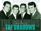 The Best of The Shadows [LP] by The Shadows (Vinyl, Apr-2012, Vinyl Passion) new