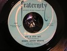 ROBIN HOOD BRIANS Fraternity Dis A Itty Bit / Without You Rockabilly Rock 45