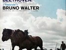 BRUNO WALTER / Beethoven Symphony No.6 Pastorale / Columbia 6-EYE MS 6012 TAS LP
