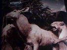 INTERPOL - our love to admire -  2LP'S New (sealed)