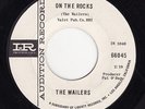 TITTYSHAKER / GARAGE INSTRO 45 Wailers - On The Rocks / Mashi
