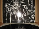 LP NURSE WITH WOUND INSECT & INDIVIDUAL SILENCED INDUSTRIAL SPK DEATH IN JUNE
