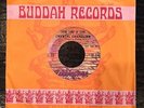 CRYSTAL CHANDLIER 45 Your Land of Love COBBLESTONE Garage FUZZ Psych VG++ Promo