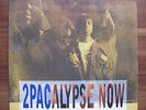 LP Interscope 1991 2pac 2pacalypse now Vinyl rar