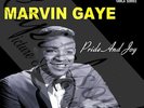 60S R/B SOUL MOTOWN ORIOLE MARVIN GAYE PRIDE AND JOY PICTURE SLEEVE