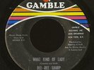 Northern Soul 45   Dee Dee Sharp   What Kind of Lady   Gamble   mp3