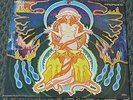 Hawkwind 