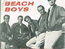 7 45 Beach Boys-Papa Oom Mow Mow / The Wanderer Brasil PS Rar
