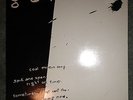 The Gordons - The Gordons (Flying Nun Records FN099)