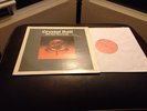 CRYSTAL BALL IT'S NOT TOO LATE LP 1977 TAX SCAM PRIVATE ACID FOLK PSYCH RARE EX+