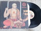 SHELTER Perfection Of Desire w/ insert Pop Punk RECORD LP