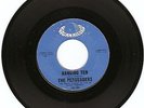 SURF GUITAR INSTRUMENTAL ROCKER- PERSUADERS- 