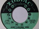 RUBY ANDREWS: JUST LOVING YOU   NORTHERN SOUL 45 on ZODIAC super rare HEAR