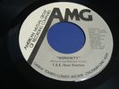 T.S.E./SOUL ELECTORS Humanity/Destructive Criticism AMG Orig '70s SOUL FUNK 45