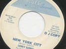 Sidney BARNES New York City 45 savage R&B mod POPCORN dancer HEAR ??
