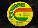 WAYNE SMITH SLENG TENG MIX DOWN RMX UK G.SLEEVES 12
