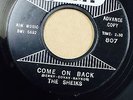 Sheiks DOO WOP 45 Come On Back/Please Don't Take Away The Girl on AMY #CC27 HEAR