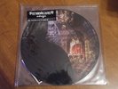 My Morning Jacket - Evil Urges 2x LP - picture discs - record store day special