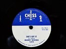 Rare USA 78rpm MUDDY WATERS She's Got It / I Won't Go On