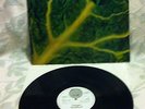CATAPILLA Changes  UK psych prog LTD VERTIGO very early LP reissue  M
