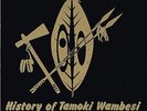 wambesi LP: VARIOUS-history of tamoki wambesi  (hear)