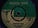 THE FUGITIVES - CANTELOPE ROCK / THE LECTURE - RARE ROCK STEADY
