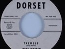 Instrumental Rocker Tittyshaker 45 JERRY WARREN Tremble DORSET HEAR