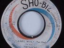 R&B Instrumental 45 SAXONS Camel Walk SHO-BIZ HEAR