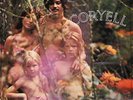 Larry Coryell 