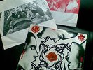 red hot chili peppers - blood sugar sex magik vinyl record x2 lp rock classic