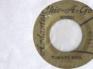ANDANTES Today's fool Lady 45 MONSTER FUZZ OVERDOSE GARAGE PSYCH Hear Chic-A-Go