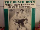 BEACH BOYS, THE---WHEN I GROW UP (to be a man)   (Picture Sleeve Only)