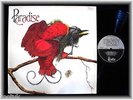 PARADISE * UK Gospel Funk * EBONY LP 1980