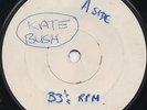 KATE BUSH  - 