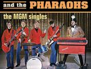 SAM THE SHAM & PHARAOHS MGM SINGLES WOOLY BULLY 2 LP