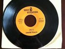 Rare Garage Sounds International Common Wealth Band 45 RPM record Folk Rock VG