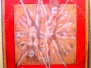 MAD MUSIC INC. - original '77 Private Avant Experimental Cosmic LP - NM