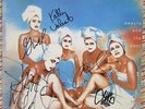 GO-GO'S - Beauty and the Beat | RARE SIGNED Clear Pink Vinyl 2011 Reissue LP