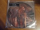 My Morning Jacket - It Still Moves - 2x LP Picture Discs - NM