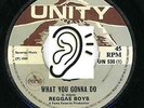 REGGAE BOYS -