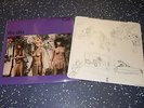 THE SLITS - CUT NM CONDITION 1ST PRESSING WITH INNER STUNNING ALBUM