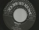 ROCKABILLY SURF INSTROS--DON SOHL & ROADRUNNERS-- KNOCKOUT  -HEAR IT- 1961 DREEM