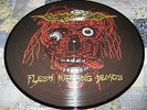 CARCASS flesh ripping demos PICTURE DISK LP Symphonies of Sickness napalm death