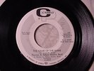 GARAGE PUNK FUZZ PROMO 45 THOMAS A. EDISON ELECTRIC BAND Name Of The Game HEAR
