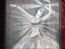 Neutral Milk Hotel ?– NMH Vinyl Box Set