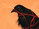 Death Cab For Cutie TRANSATLANTICISM 180g HQ + MP3 Code NEW SEALED Vinyl 2 LP