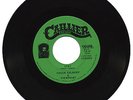 CHUCK COLBERT & VIEWPOINT ((HEAR))