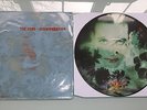 CURE-DISINTEGRATION PICTURE DISC...1ST ISSUE EXCELLENT/EXCELLENT VINYL LP 1990